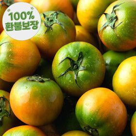 상품 이미지: 부산 대저 토마토 짭짤달콤 2.5kg L 대과