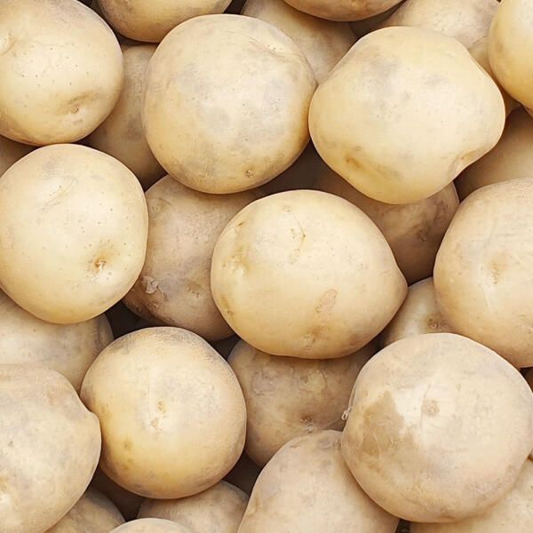 상품 이미지: [아빠의마음] 26년 햇감자 5kg(중)