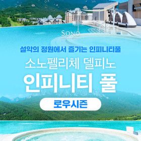 상품 이미지: |강원| 소노펠리체 델피노 인피니티풀 로우시즌 입장권 고성 프라이빗풀 종일권 노키즈존 (26/03/03~06/19)