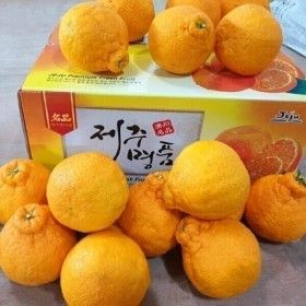 상품 이미지: 나영이네농장 하우스 한라봉 10kg(25~39과)-대과/무료배송
