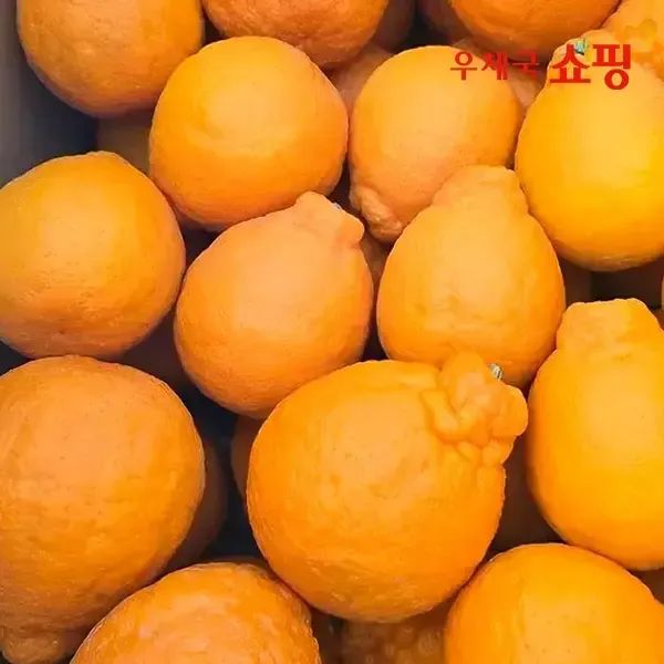 상품 이미지: [우체국쇼핑](산지) 새콤달콤 제주 고당도 한라봉 1.5kg 2.5kg 4.5kg
