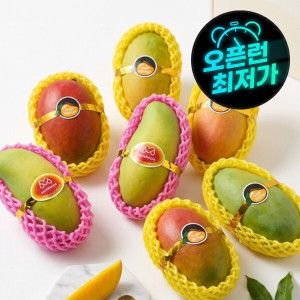 상품 이미지: 무지개망고 대과 4kg 마하차녹 열대과일 고당도 선물세트 신선 후숙 망고 달달이음