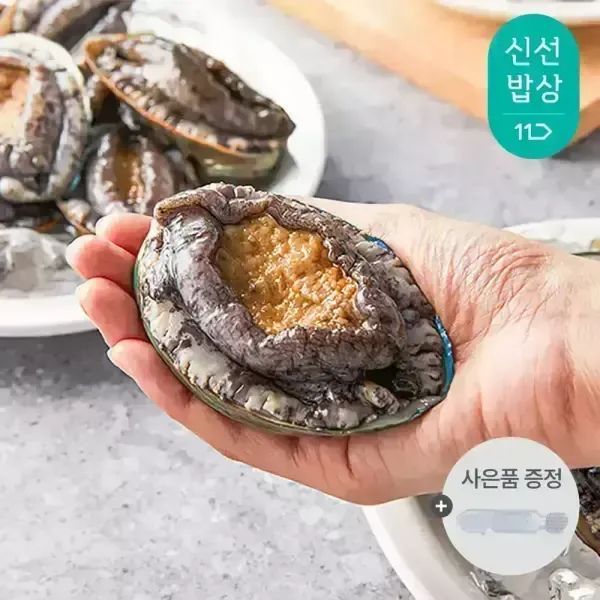 상품 이미지: 9-10미 기삼전복 내일도착 특대 1kg 손질칼 / 일반포장 (마리당 100g내외)