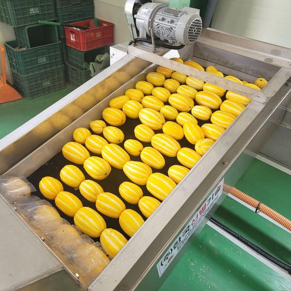 상품 이미지: 성주 꿀 참외 당도선별 10kg