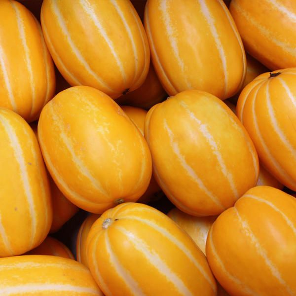 상품 이미지: 달콤한 가정용 성주 꿀 참외 10kg
