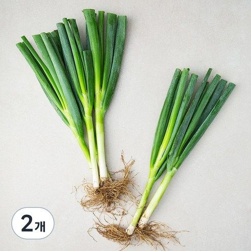 상품 이미지: 흙대파, 750g, 2개