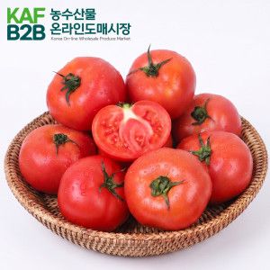 상품 이미지: (신선집중) 국내산 완숙토마토 찰토마토 완숙 찰 토마토 가정용 랜덤과 5kg / 온라인도매시장 할인지원