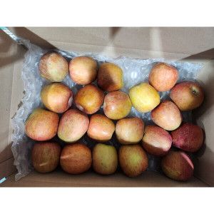 상품 이미지: 100박스 한정 달콤한 부사사과 실속형 5kg