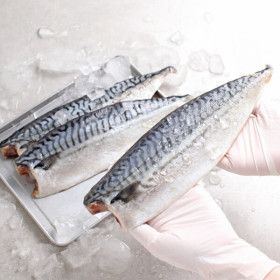 상품 이미지: (신선집중) 노르웨이 고등어 왕특대 170-190g x 10팩 노르웨이 산지 가공 한번얼린 고등어