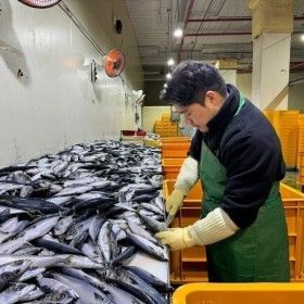 상품 이미지: 국내산 부산 자반고등어 10마리 손질 후 2.3kg내외 무료배송