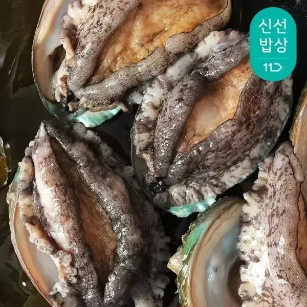 상품 이미지: [바다마을] 완도 참 전복 왕특대활전복 8~9미 1kg(산소포장)