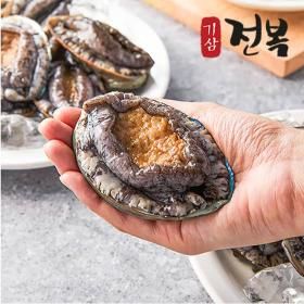 상품 이미지: 내일도착 5-7미 1kg 기삼전복(특특대)