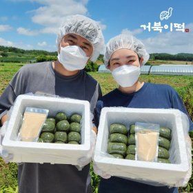 상품 이미지: (거북이떡)직접농사지은 해남 쑥떡 인절미 3kg + 국산 콩가루 100g