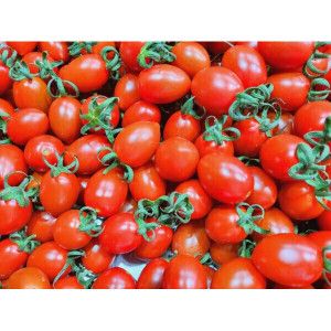 상품 이미지: 산지직송 대추방울토마토2kg (소과대과) 대추방울토마토 2박스 구매시 1kg추가 (5kg발송)