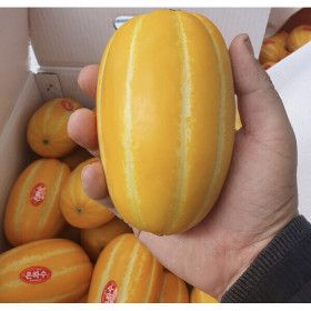 상품 이미지: 첫물 햇 성주 참외 꿀 범벅 참외 당도 보장  4.5kg  혼합과