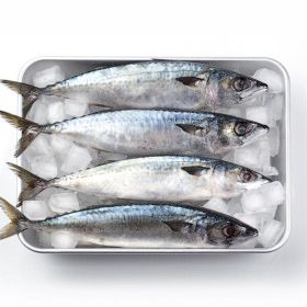 상품 이미지: (신선집중) 국내산 부산 손질 고등어 간고등어 자반 10미 총 2.3kg 31cm 내외 (2개 구매 시 갈치 1미 증정)
