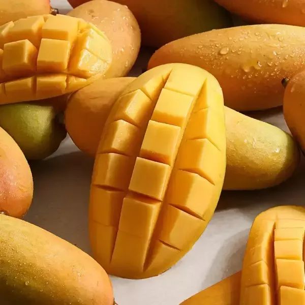 상품 이미지: 썬리지 고당도 태국 무지개망고 마하차녹 망고 3kg 5kg