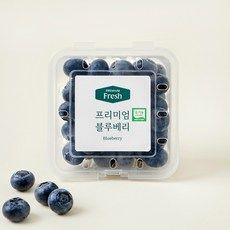상품 이미지: 프리미엄 유기농 블루베리 대과, 100g, 1개