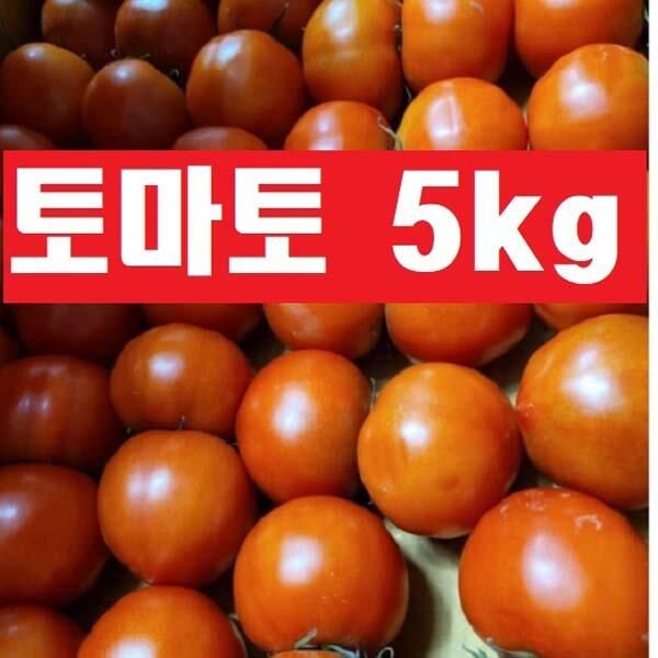 상품 이미지: 토마토5kg(정품)국내산/특~2번