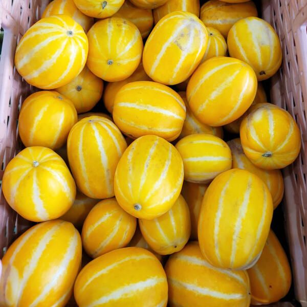 상품 이미지: 성주 꿀 참외 당도선별 5kg