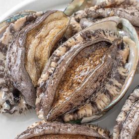 상품 이미지: 갯마을 완도 대활전복 1kg(10-11미