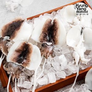 상품 이미지: 국내산 손질 갑오징어 2kg (팩당 1미 150~250g 내외 총 12~14팩)