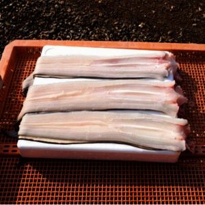 상품 이미지: 국내산 손질 바다장어 1kg (2-3미) 5월 막주 한정 다가오는 여름 보양식 특가 바다장어 + 소스 2종 증정