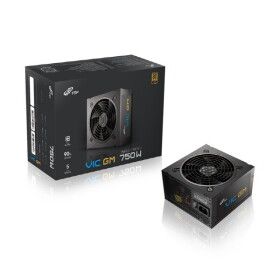 상품 이미지: FSP VIC GM 750W 80PLUS 골드 풀모듈러 ATX 3.1 파워