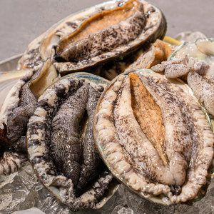 상품 이미지: (신선집중) 완도 활 전복 1kg(6-7미) VIP특대전복+세척솔 사은품