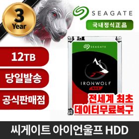 상품 이미지: 씨게이트 아이언울프 NAS용 HDD 12TB ST12000VN0008