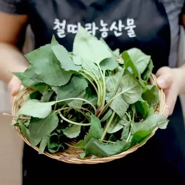 상품 이미지: 하동 지리산 햇 산 취나물1kg