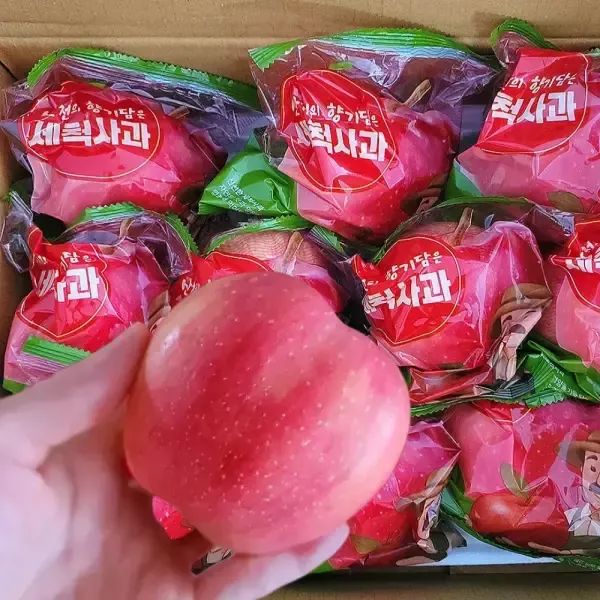 상품 이미지: 가정용 간편한 세척사과 3kg 중소과 15~18과
