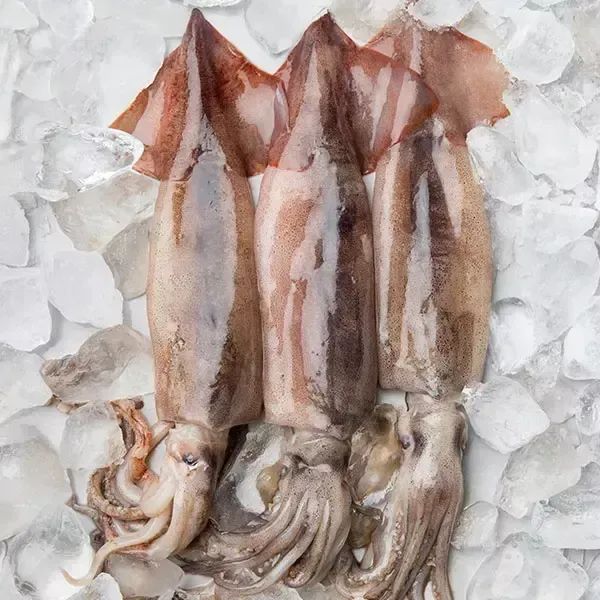상품 이미지: 신선한 손질오징어 2미 280g 3팩