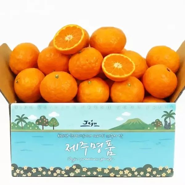 상품 이미지: [당도선별] 제주 햇 카라향 감귤 2.5kg 로얄과(2S-M)/ 원물 실중량/수확 후 바로 발송