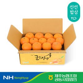 상품 이미지: [제주농협] 귤로장생 카라향 4kg 로얄과(20-32입)