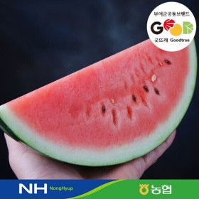 상품 이미지: 수박 6~7kg미만 굿뜨래인증 농협/비파괴선별