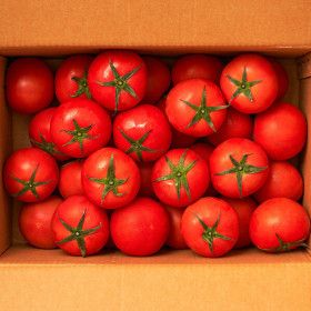 상품 이미지: 신선하랑 국내산 완숙토마토 5kg 소과