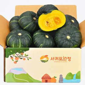 상품 이미지: (신선집중/15%+NH10%) 서귀포인정 제주 미니 단호박 밤호박 보우짱 2kg(3~7과)
