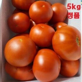 상품 이미지: 국내산 토마토 5kg  주스용아님)정품(오늘만반짝가격판매