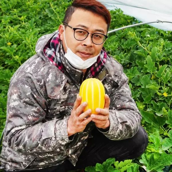 상품 이미지: 혼자 먹기 참-외롭다 성주참외 10kg 산지 가능 가격