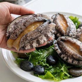 상품 이미지: 완도전복 특대전복 1kg(7~8마리)/VIP선물 완도활전복 가정의달