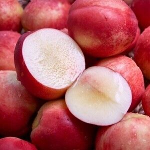 상품 이미지: (딱2주마감특가) 유명산지 신비복숭아 2kg 중대과(로얄과) 프리미엄 정품 경북직송 18-24과내외