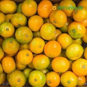 상품 이미지: 제주남원농협 하우스 감귤 소과 2.5kg (실중량)