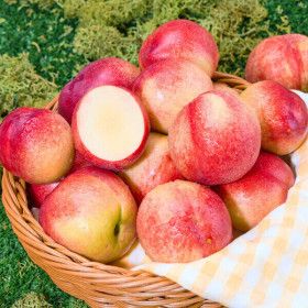 상품 이미지: 당일수확 경산 햇 신선 신비복숭아 1kg 12-20과내외 / 첫출하 순차출고 백도 딱딱이복숭아 수확 후 발송