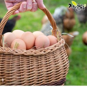 상품 이미지: 자연을담음 무항생제 난각1번 유정란 40구/ 대란