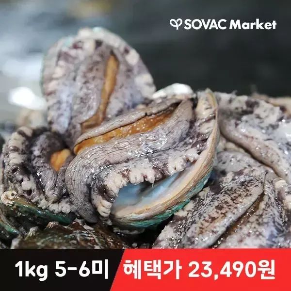 상품 이미지: [바다마을] 완도 산지직송 활 전복 1kg 5~6미 프리미엄 특대 산소포장