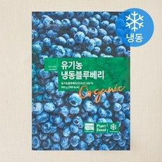 상품 이미지: 딜라잇가든 유기가공식품 인증 블루베리 (냉동), 900g, 1개
