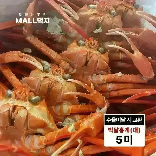 상품 이미지: [수율미달시 교환가능]살이꽉찬 깊은바다 울릉도 독도 붉은대게 속초 최상급 박달홍게 대 2kg (5미)