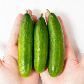상품 이미지: 수분가득 국내산 스낵 미니오이 전청프레시 미니오이 2kg