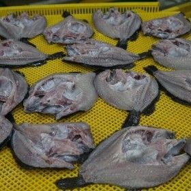 상품 이미지: 자연산 손질 반건조 우럭 6마리 900g 할복 반건조 생선